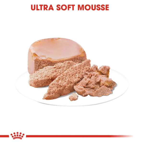 کنسرو غذای گربه رویال کنین مدل مادر و نوزاد وزن ۱۹۵ گرم