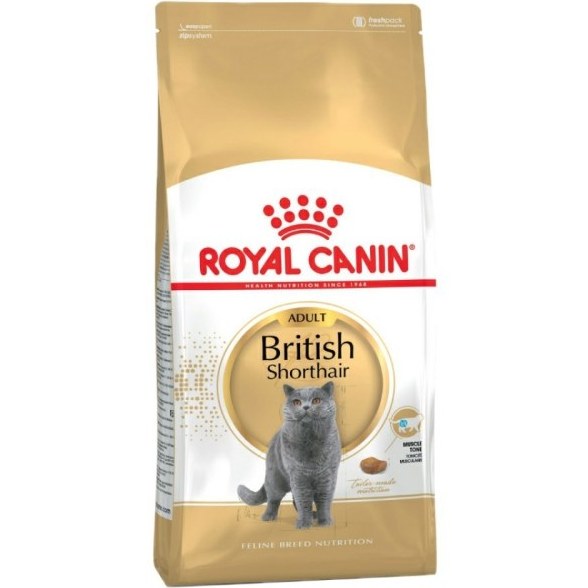 PL-4p6Jx_Jk8R405 غذای گربه بالغ بریتیش رویال کنین RoyalCanin British Shorthair